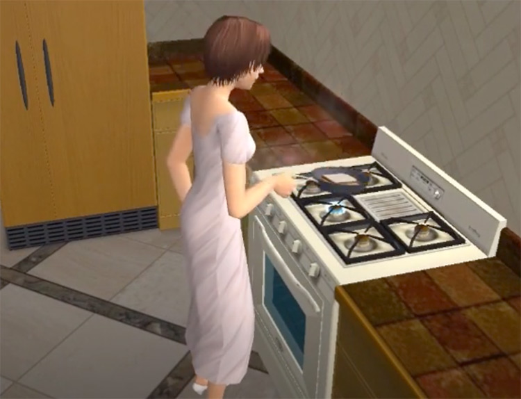 Dont Walk Away from Stove Sims2 addon