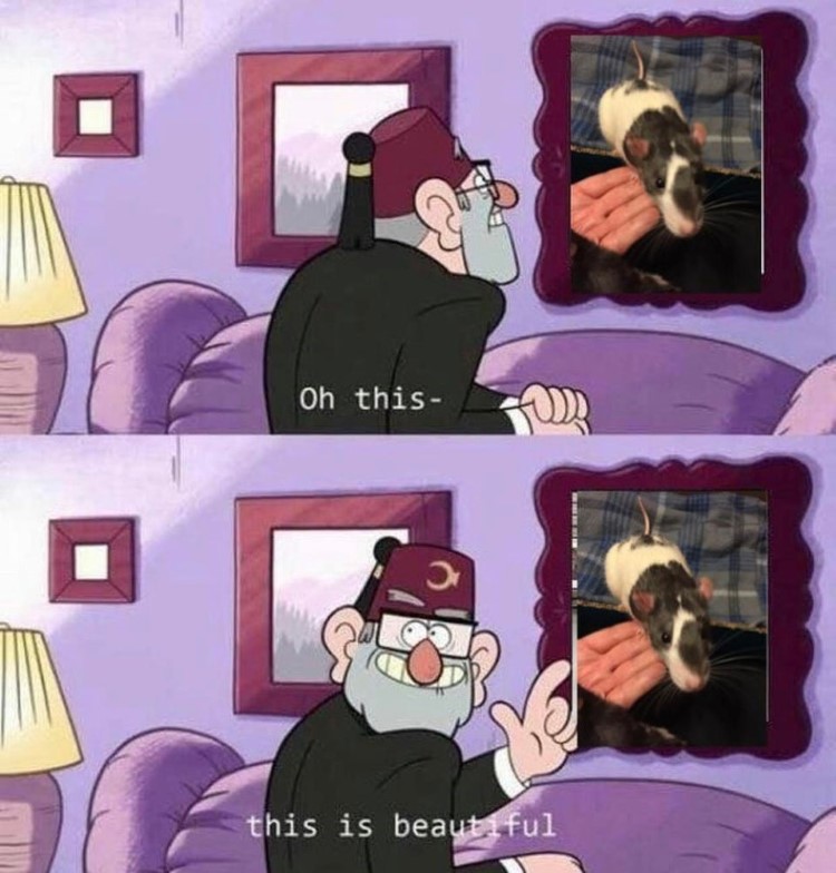 Oh this, this is beautiful Stan meme
