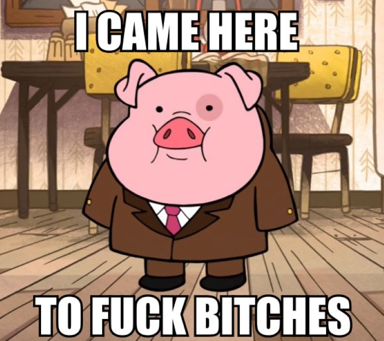 Waddles the pig in suit meme, I came here to f bitches joke