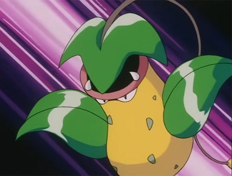Victreebel Grass-Type Pokemon in the anime
