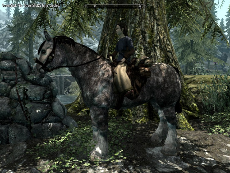 skyrim best alternate start mods