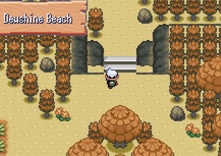 Pokémon Blazing Emerald Dewshine Beach Screenshot