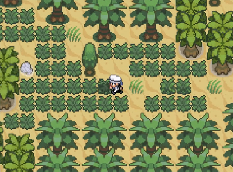 Pokémon Discovery Hack Screenshot