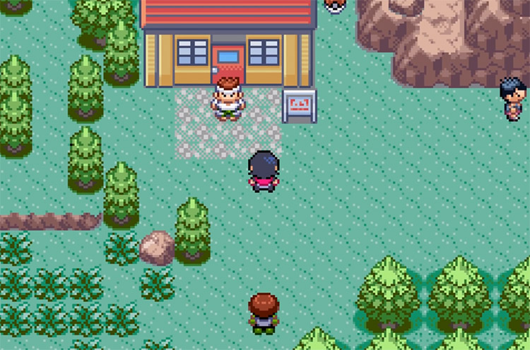 I was playing a pokemon emerald rom hack with a randomizer : r