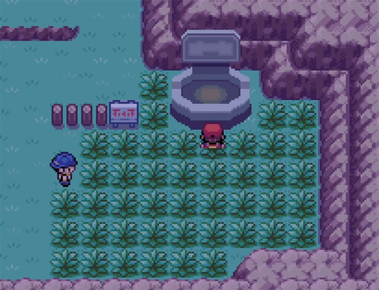 Pokémon Radical Red ROM Hack Screenshot
