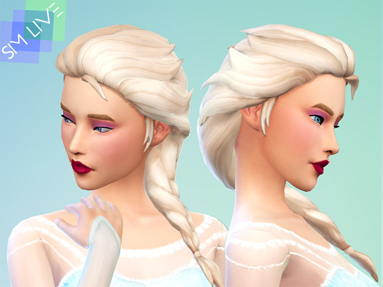 sims 4 resource frozen