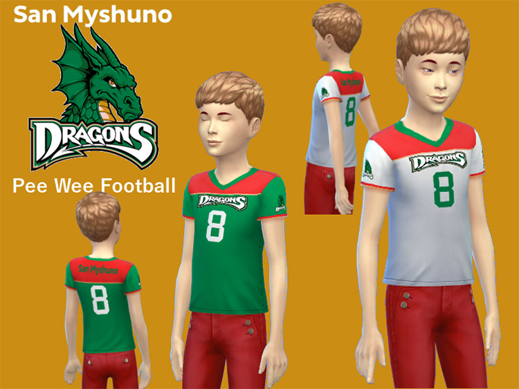 Best Sims 4 Football Themed CC   Mods  All Free    FandomSpot - 99