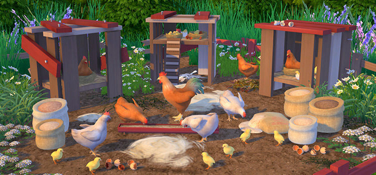 Custom chickens CC set for The Sims 4