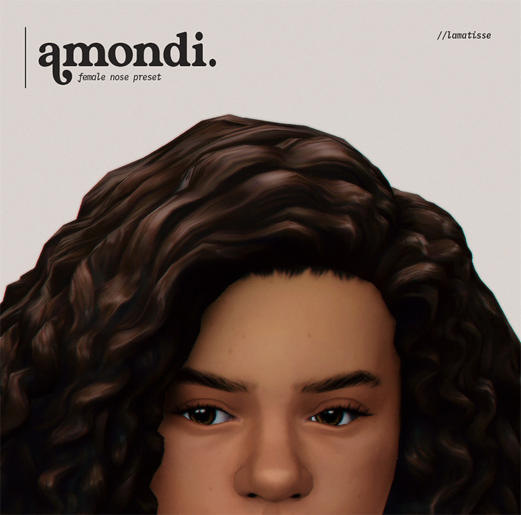 Amondi Preset TS4 CC