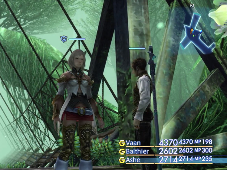 Salikawood closeup of Ashe and Balthier / FF12 TZA