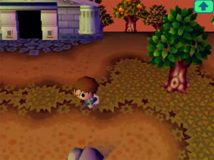 Animal Crossing: Wild World screenshot