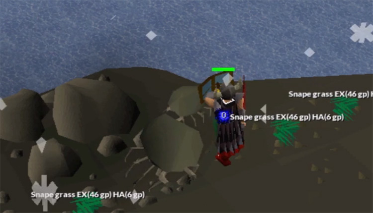 Rock crab training screenshot in OSRS