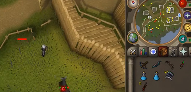 Range Training on Yaks in OSRS