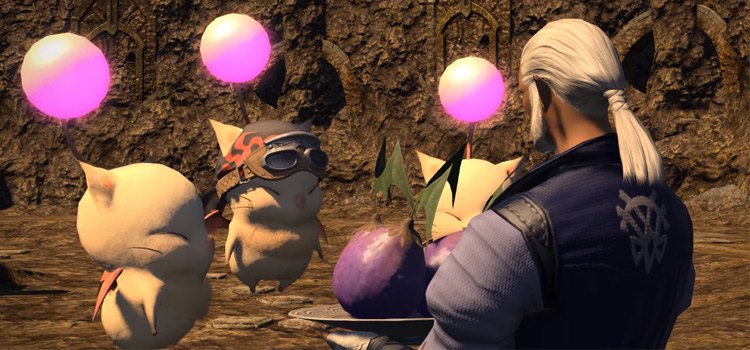 FFXIV Kupo Nuts: What They’re Used For & How To Get ‘Em – FandomSpot