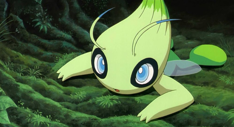 Celebi Pokemon in the anime