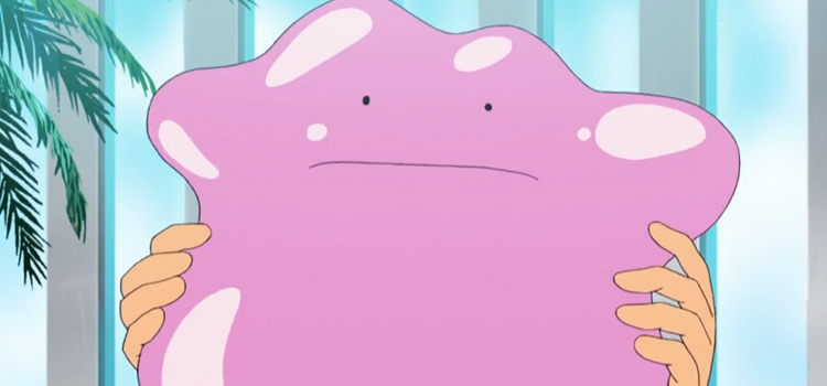 Ditto Pokemon in the anime
