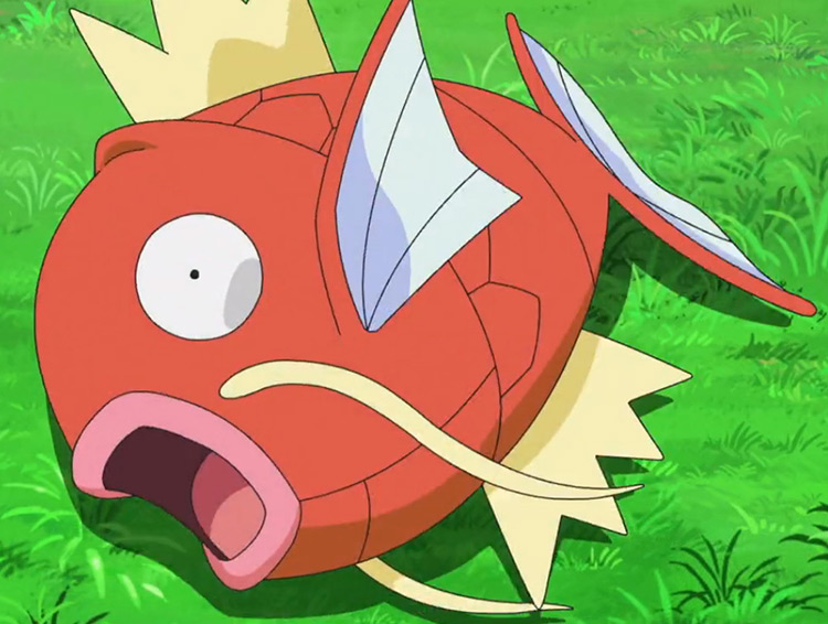 Magikarp Pokemon anime screenshot
