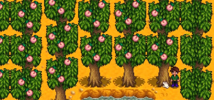 Peach Trees with Fruits (Stardew)