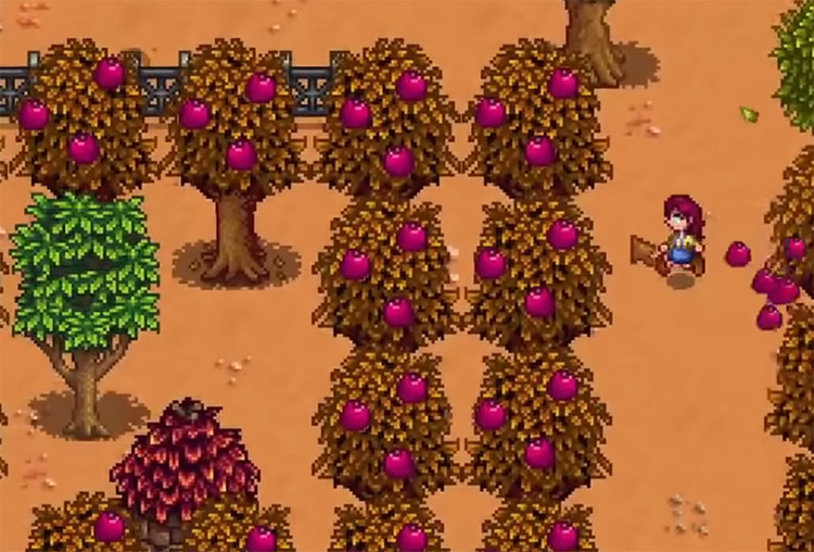 Pomegranate Trees in Stardew Valley
