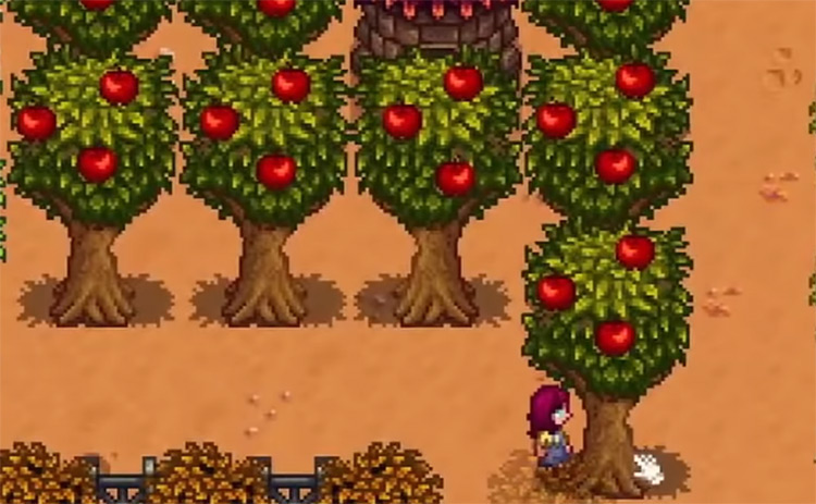 Apple Trees Stardew Valley screenshot