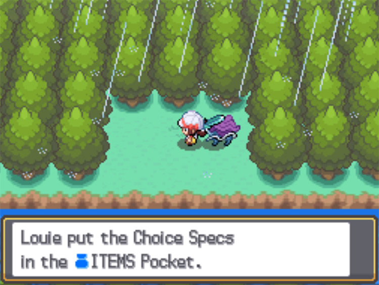 Picking up the Choice Specs at the Lake of Rage / Pokemon HGSS