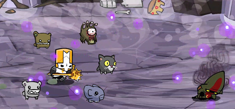 Top 5 Best Pets for the Final Boss (Castle Crashers)