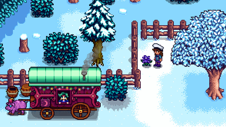 A forage-able Crocus in Cindersap Forest near the Traveling Cart / Stardew Valley