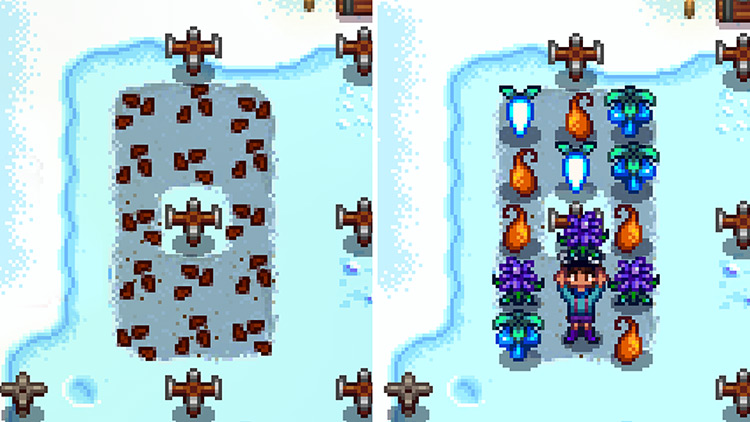Winter Seeds take seven days to mature into various winter crops, including the Crocus / Stardew Valley