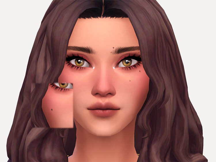 Best Maxis Match Blush CC for The Sims 4  All Free    FandomSpot - 8