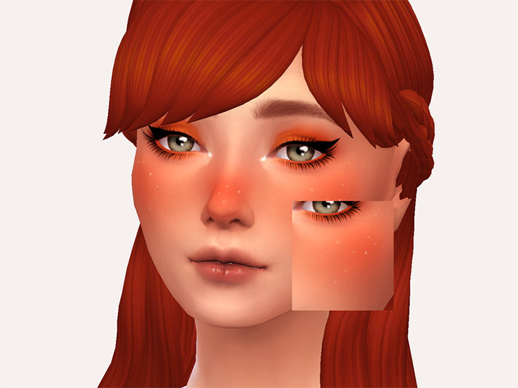 Pumpkin Spice Blush / Sims 4 CC