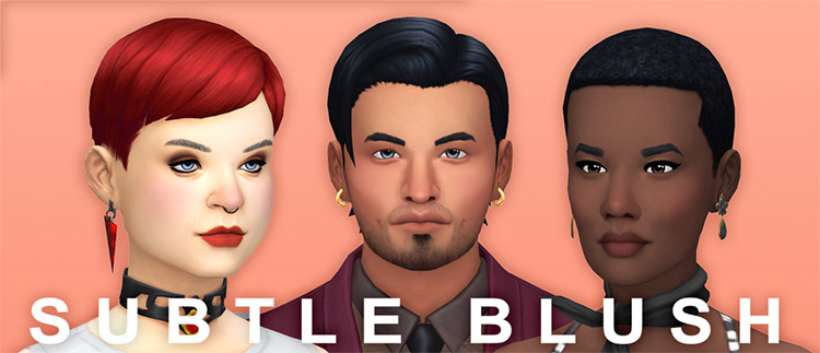 Subtle Blush / Sims 4 CC