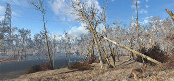 Trees in the Wasteland (Fallout 4)