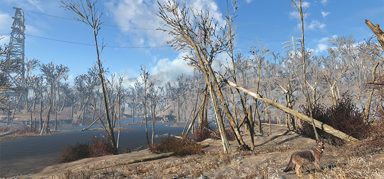 Trees in the Wasteland (Fallout 4)