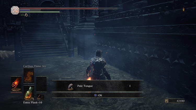 Picking up the Pale Tongue from behind the Giant / Dark Souls 3