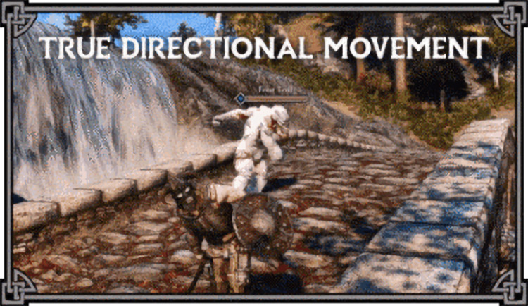 True Directional Movement / Skyrim Mod