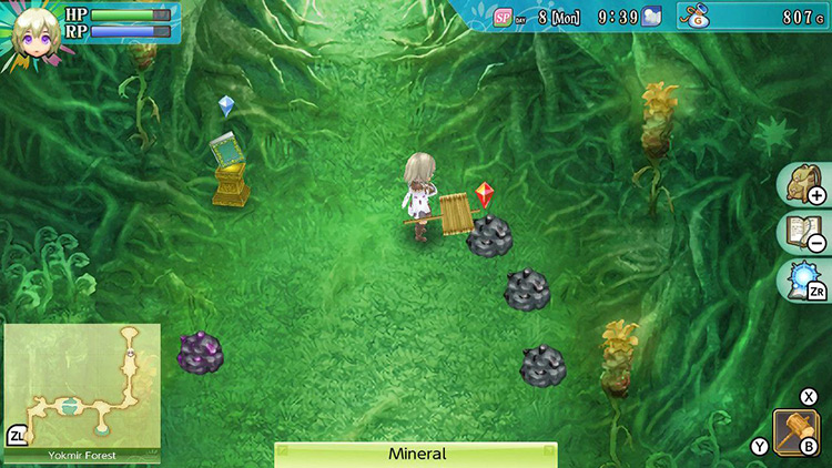 Lest standing in front of an Iron Mineral in Yokmir Forest with a hammer equipped / Rune Factory 4
