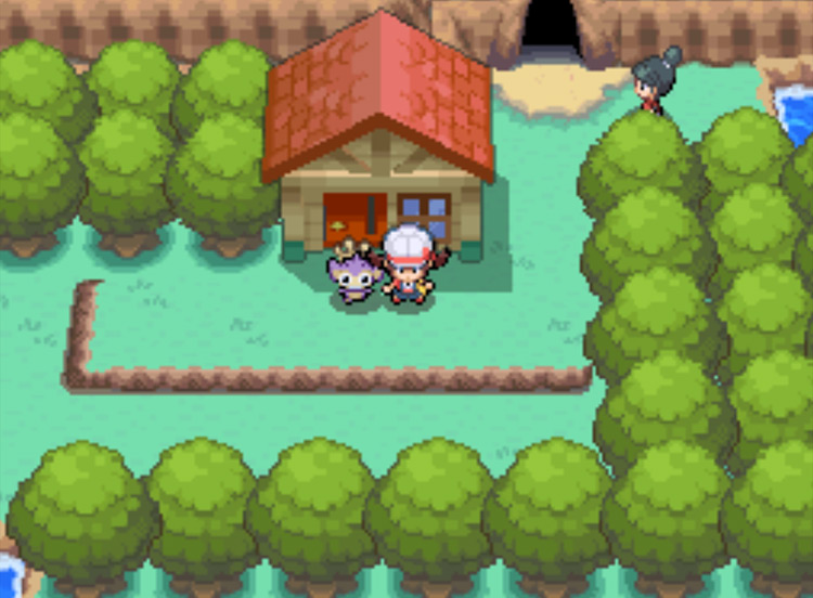 The Friendship Checker's house on Route 26 / Pokémon HGSS