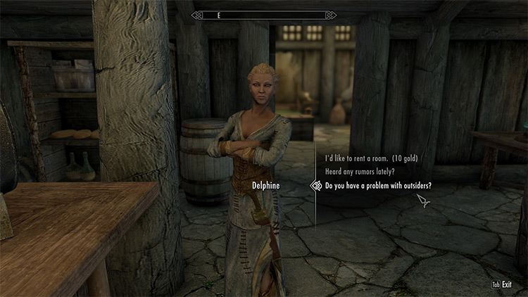 Best Skyrim Mods for Brelyna Maryon  All Free    FandomSpot - 3