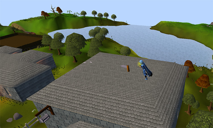 Alching on the rooftops / Old School RuneScape