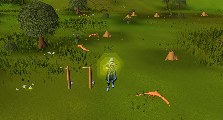 Alching while hunting birds / Old School RuneScape
