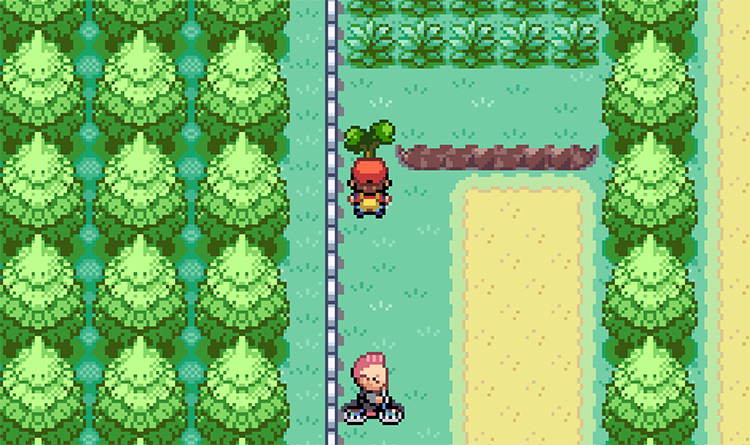 Patch of grass on Route 14 where Ditto can be easily found (after cutting down the tree) / Pokemon FRLG