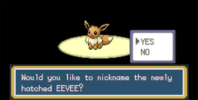Newly hatched Eevee from the Daycare Egg / Pokemon FRLG