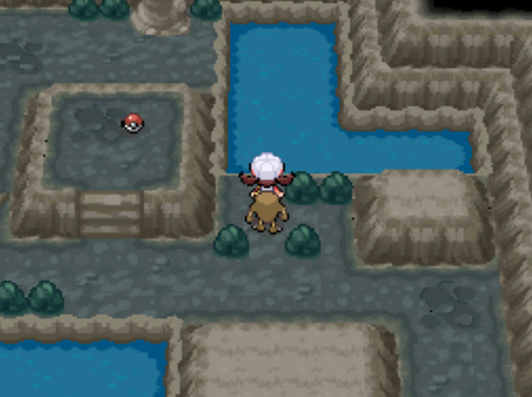 The next body of water to cross, just a few steps to the right of the previous one / Pokemon HGSS