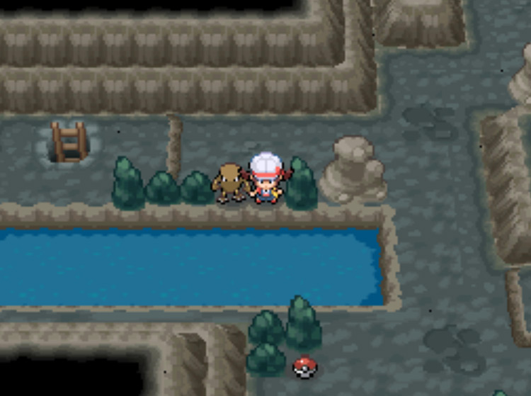 The final body of water before descending to the next level of Mt. Mortar / Pokemon HGSS