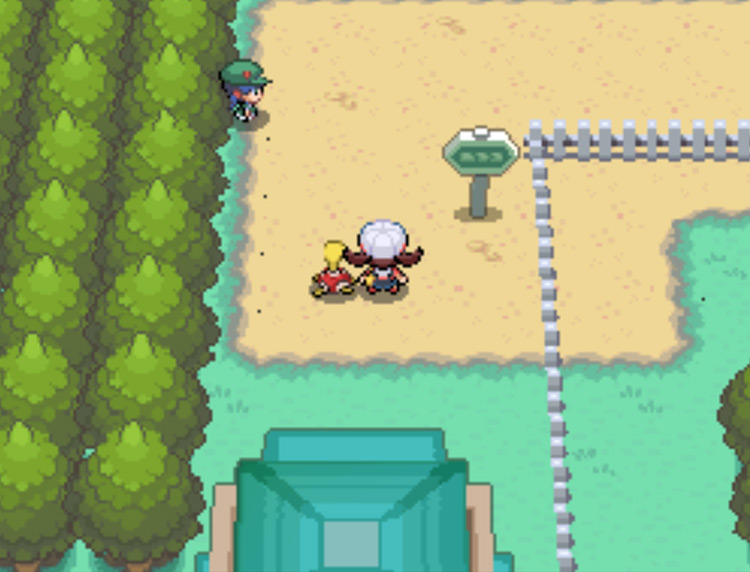 Route 35, as seen from Goldenrod City's north exit / Pokémon HGSS