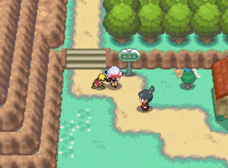 The location of the Blue Apricorn tree on Route 26 / Pokémon HGSS