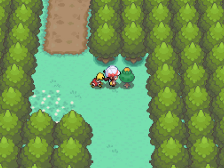 The location of the Yellow Apricorn tree in Violet City / Pokémon HGSS