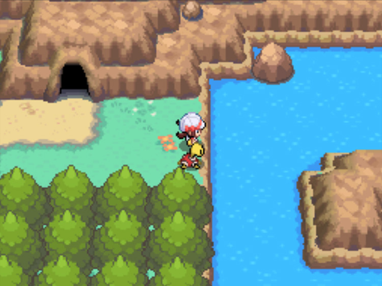 The water on Route 42 / Pokémon HGSS