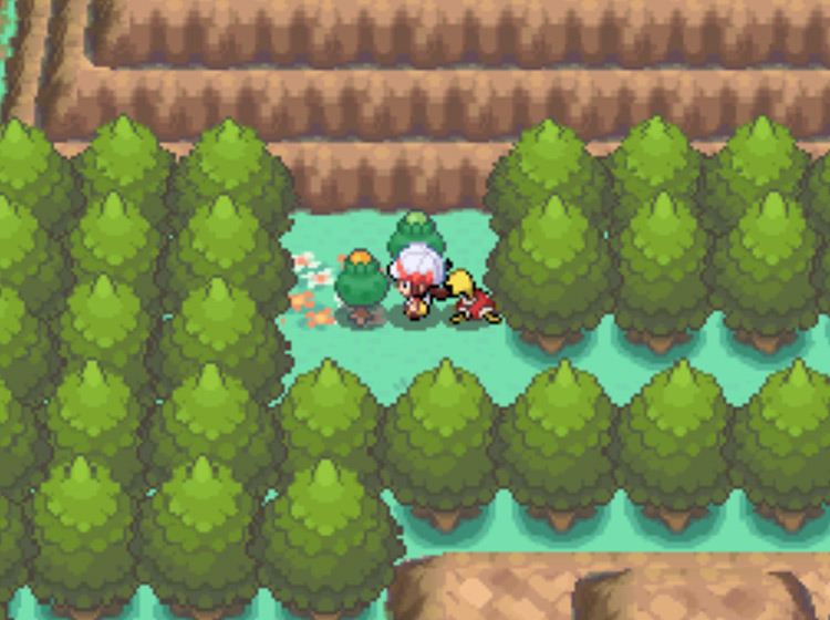 The location of the Yellow Apricorn tree on Route 46 / Pokémon HGSS