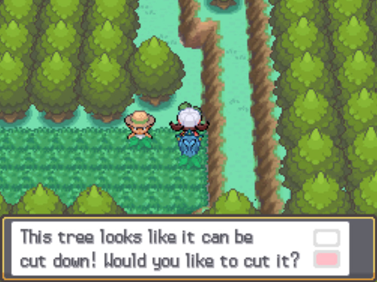 The Cut-able tree on Route 35 / Pokémon HGSS